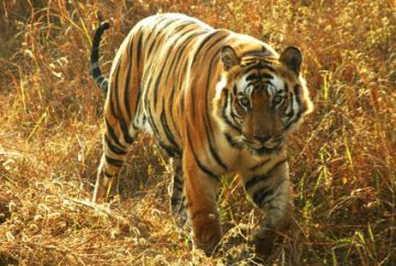 Heart-warming 5 Days Nanital to Nainital Hill Stations Vacation Package