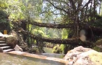 Tour of the Misty Hills of Meghalaya