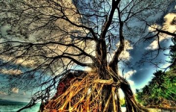 Best 5 Days 4 Nights Port Blair Historical Places Holiday Package