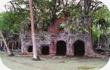 Heart-warming 5 Days Port Blair to HAVELOCK ISLAN Romantic Holiday Package