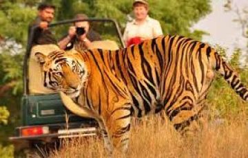 Family Getaway Chitwan Tour Package for 7 Days 6 Nights