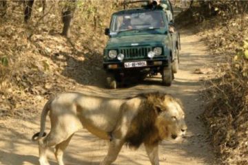 5 Days Dwarka with Somnath Religious Trip Package