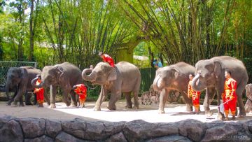 Ecstatic 5 Days 4 Nights Bangkok Shopping Vacation Package