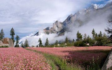 Magical 11 Days Shimla, Kinnaur, Lahaul And Spiti with Manali Offbeat Tour Package