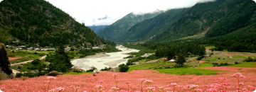 Beautiful 8 Days Shimla to Sangla Romantic Vacation Package