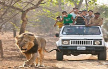 somnath sasan gir diu