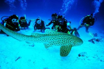 Experience 4 Days Delhi to Havelock Friends Trip Package