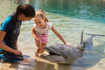 Experience 9 Days Sydney Luxury Vacation Package