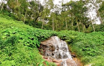 Beautiful 6 Days 5 Nights Coorg Honeymoon Trip Package