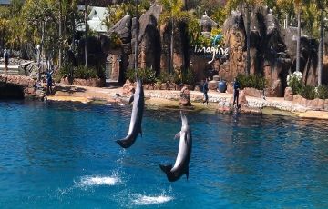 Beautiful 11 Days 10 Nights Goldcoast Holiday Package