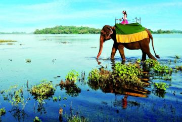 4 Days 3 Nights Kandy Forest Vacation Package