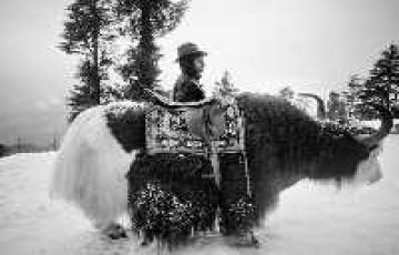 Heart-warming 7 Days 6 Nights Shimla River Holiday Package