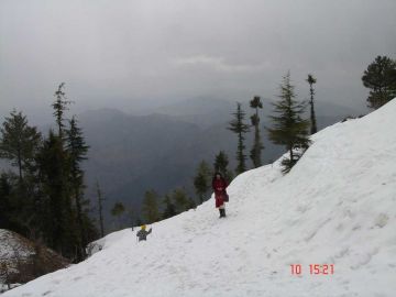 6 Days 5 Nights Delhi to Shimla Friends Tour Package