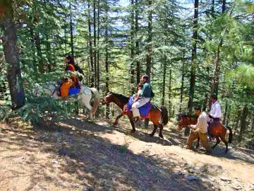Amazing 7 Days Delhi to Chandigarh Hill Stations Vacation Package