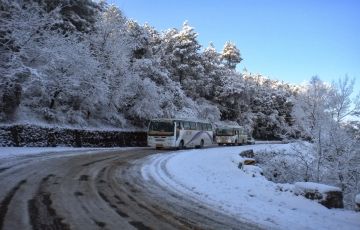 Ecstatic 3 Days 2 Nights Kufri Trip Package