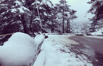 7 Days Delhi ,Chandigarh, Shimla, Kullu, Manali to Shimla Historical Places Holiday Package