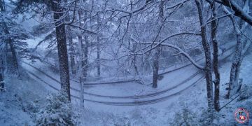 7 Days Pune to Shimla Holiday Package