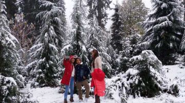 Amazing 5 Days SHIMLA with MANALI Trip Package