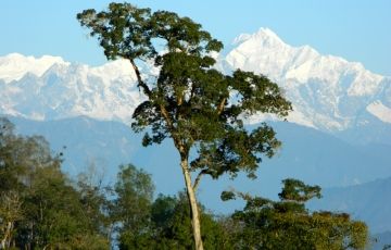 Magical 4 Days 3 Nights Lingtam Tour Package