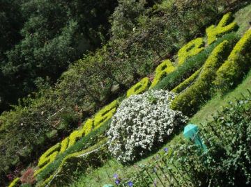 Magical 5 Days Coimbatore to Munnar Romantic Tour Package