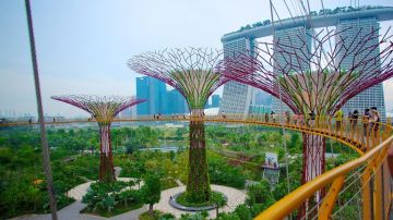 Pleasurable 4 Days 3 Nights Singapore Beach Vacation Package