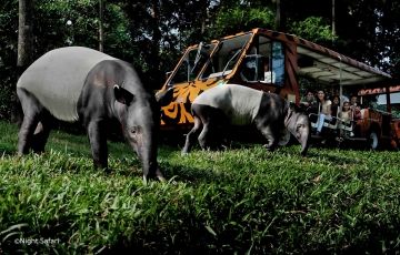 Memorable 4 Days Singapore Vacation Package by NewEra Vacations