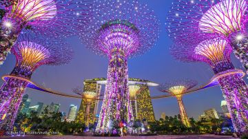 Pleasurable 7 Days SINGAPORE Luxury Holiday Package