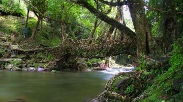 Beautiful 5 Days Shillong, Cherrapunjee, Mawlynnong and Guwahati Vacation Package