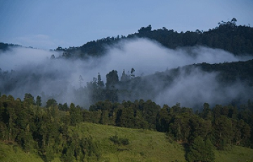 Pleasurable 9 Days Bengaluru to Coorg Family Vacation Package