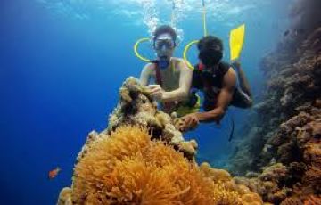 Magical 4 Days Port Blair to Havelock Tour Package