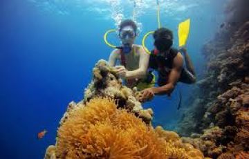 Magical 4 Days Port Blair to Havelock Tour Package