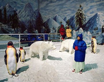 Amazing 5 Days Kolkata to Shimla Manali Church Tour Package