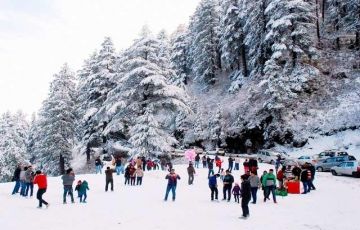 Pleasurable 6 Days 5 Nights Shimla Spa and Wellness Vacation Package