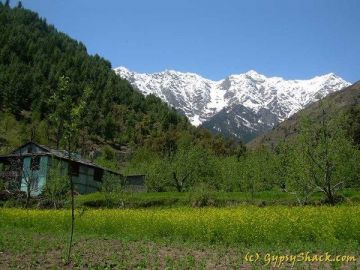 Beautiful 3 Days 2 Nights Manali Hill Holiday Package