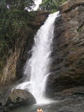 Heart-warming Wayanad Tour Package for 3 Days from Bengaluru