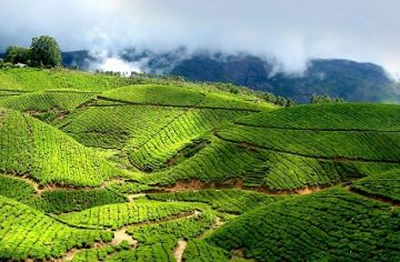 Best 5 Days Ooty Family Tour Package