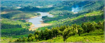 Family Getaway 3 Days Kerala Wildlife Tour Package