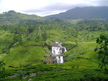 5 Days 4 Nights Nuwara Eliya Romantic Holiday Package