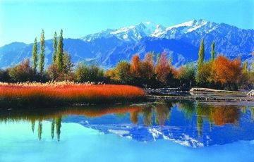 Srinagar, Pahalgam, Gulmarg and Sonamarg Nature Tour Package for 7 Days 6 Nights from Srinagar