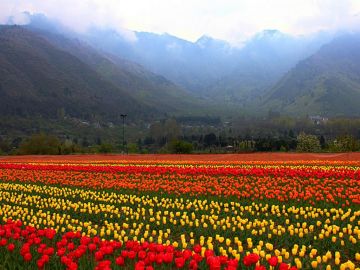 6 Days Srinagar, Pahalgam, Sonamarg with Gulmarg Culture and Heritage Vacation Package