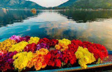 Ecstatic 5 Days India to Kashmir Nature Holiday Package