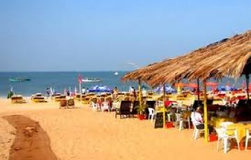 Experience 7 Days 6 Nights Cochin - Munnar - Thekkady - Kumarakom  Alleppey - Kumarakom Tour Package