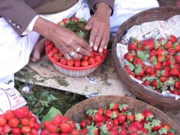 Pleasurable 3 Days Mumbai to Panchgani Mountain Vacation Package