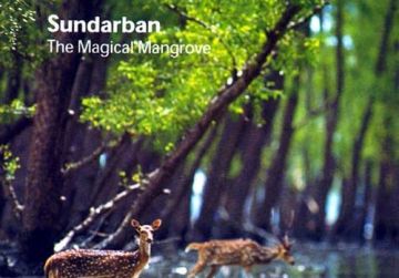 Magical 4 Days Sundarban Religious Trip Package