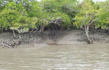 Memorable Sunderban Tour Package for 3 Days 2 Nights