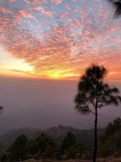 Pleasurable 5 Days Haridwar Luxury Vacation Package