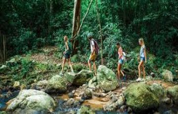 Heart-warming 2 Days Rajaji Tiger Reserve Trek Vacation Package