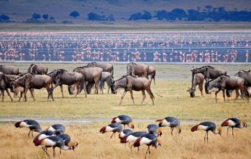 Amazing Boma Road Moshi Kilimanjaro Waterfall Tour Package for 6 Days