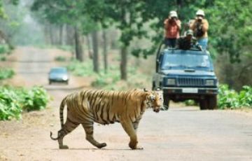 4 Days Nagpur with Tadoba Fv Tour Package