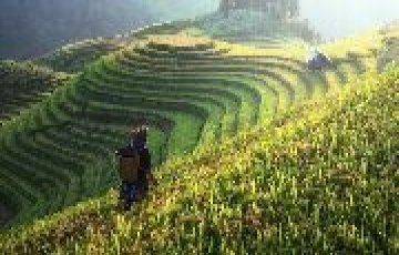 Best 4 Days 3 Nights Darjeeling with Kalimpong Honeymoon Vacation Package